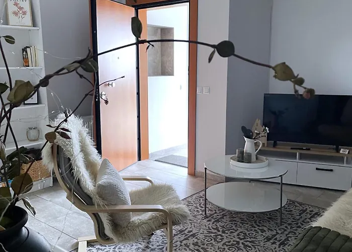 Zoe\'S House